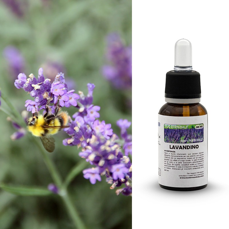 Lavandula O.E. (20ml)